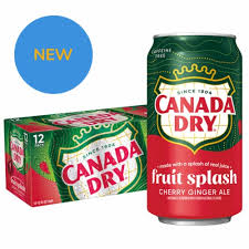 CANADA DRY GINGER ALE 12 PACK 