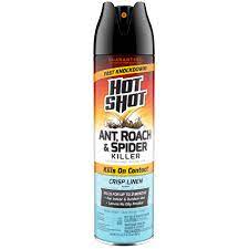 HOT SHOT INSECT SPRAY 17.5 oz 