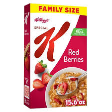 KELLOGG'S SPECIAL K CEREAL 15.6 oz Family Size 