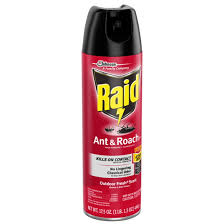 RAID INSECT SPRAY 17.5 oz 