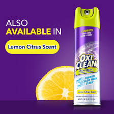 OXI CLEAN FOAM-TASTIC  BATHROOM CLEANER 19 oz 