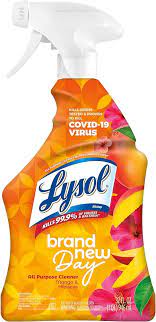 LYSOL ALL PURPOSE CLEANER 32 oz 