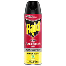 RAID INSECT SPRAY 17.5 oz 