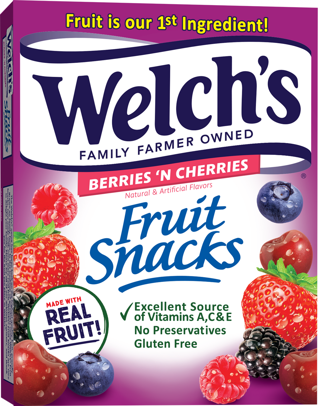 WELCH'S FRUIT SNACKS 10 pk 