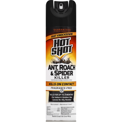 HOT SHOT INSECT SPRAY 17.5 oz 