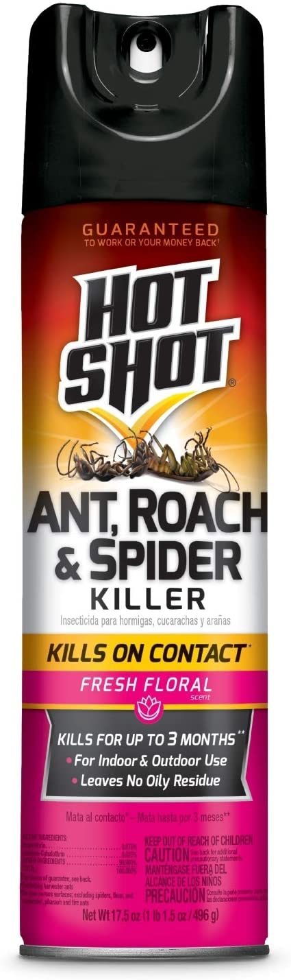 HOT SHOT INSECT SPRAY 17.5 oz 