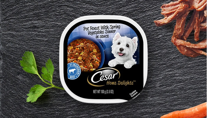 CESAR DOG FOOD 3.5 oz 