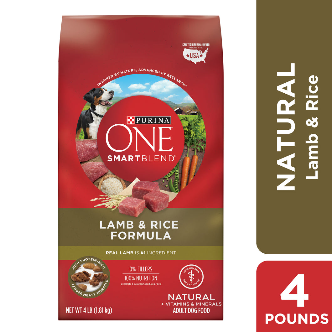 PURINA ONE DOG FOOD 4 lb  